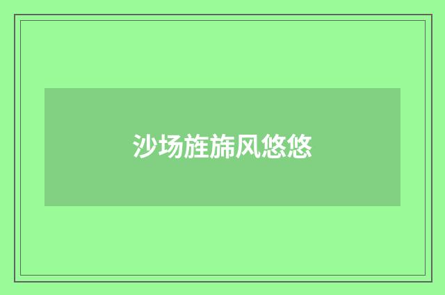 沙场旌旆风悠悠