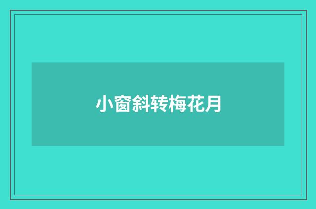 小窗斜转梅花月