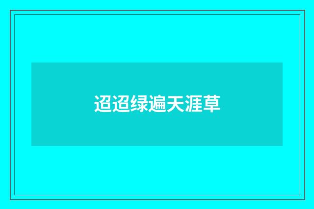 迢迢绿遍天涯草