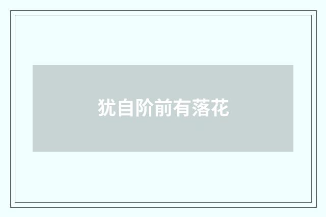 犹自阶前有落花