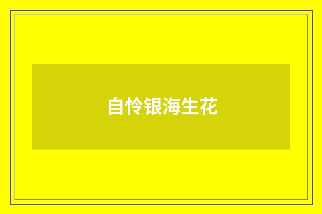 自怜银海生花