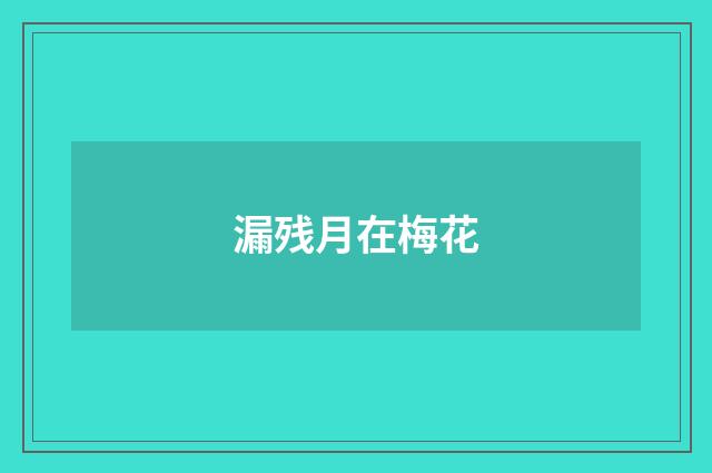 漏残月在梅花
