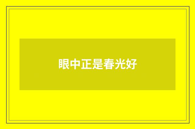眼中正是春光好
