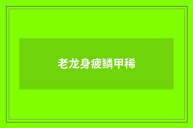 老龙身疲鳞甲稀