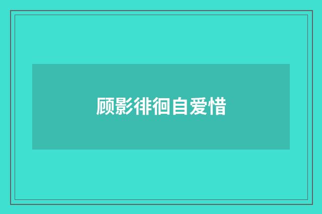 顾影徘徊自爱惜