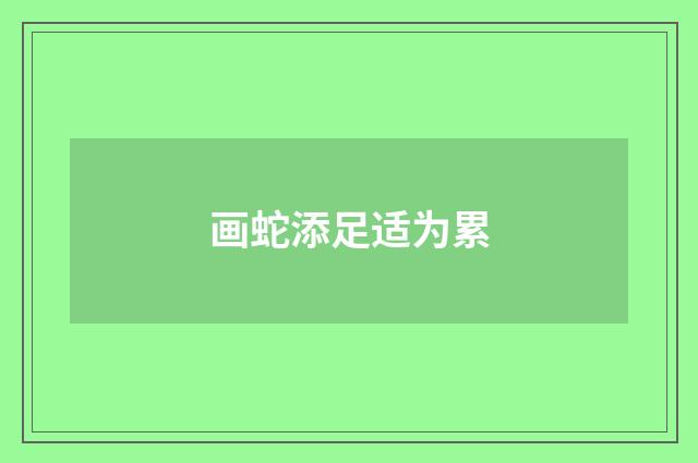 画蛇添足适为累