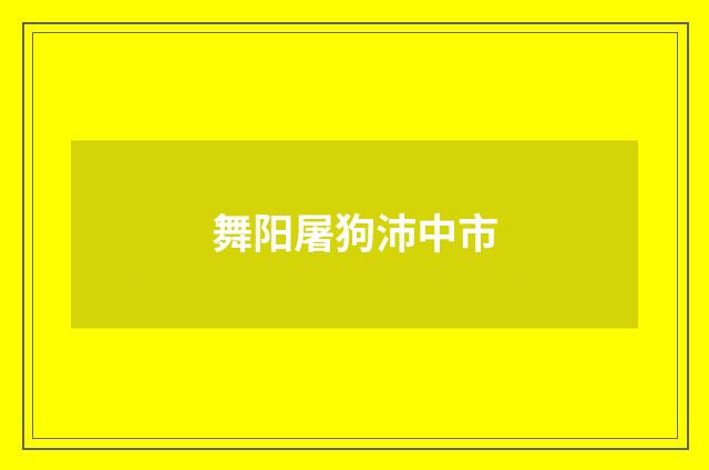 舞阳屠狗沛中市