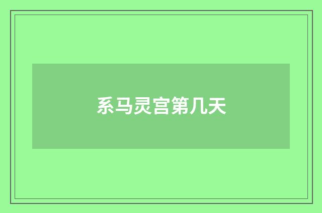 系马灵宫第几天