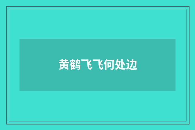 黄鹤飞飞何处边