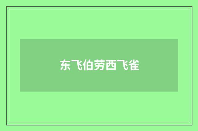 东飞伯劳西飞雀