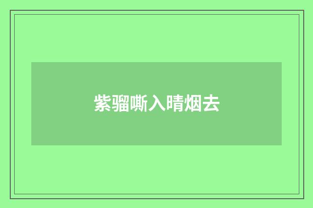 紫骝嘶入晴烟去