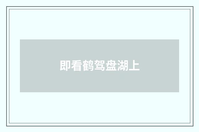 即看鹤驾盘湖上