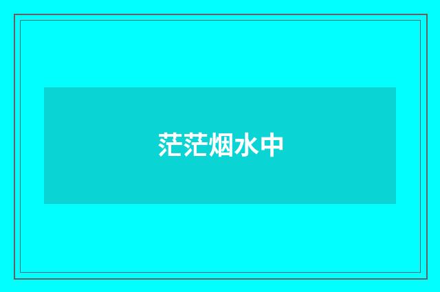 茫茫烟水中