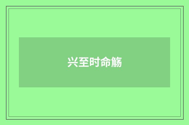 兴至时命觞