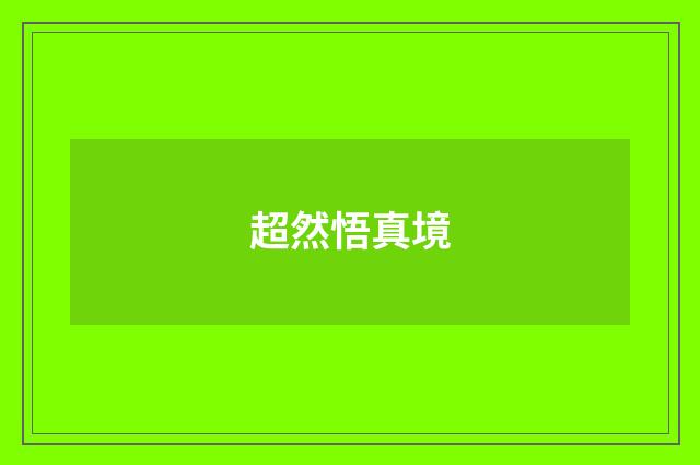 超然悟真境