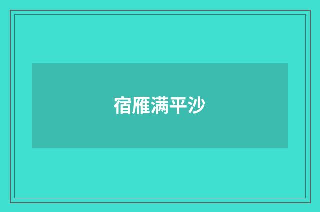 宿雁满平沙