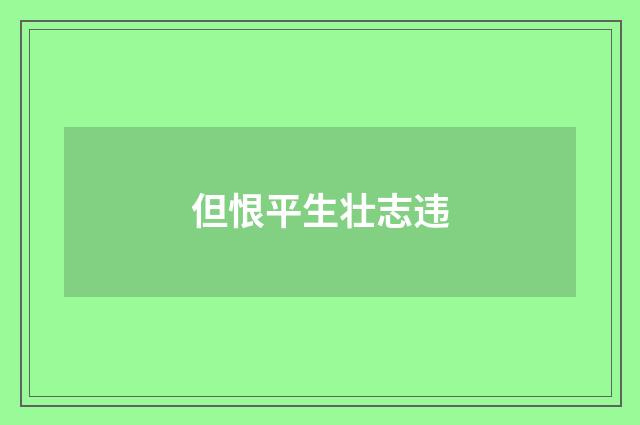 但恨平生壮志违