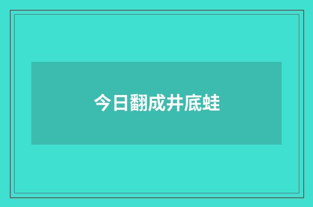今日翻成井底蛙