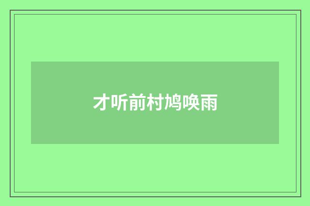 才听前村鸠唤雨