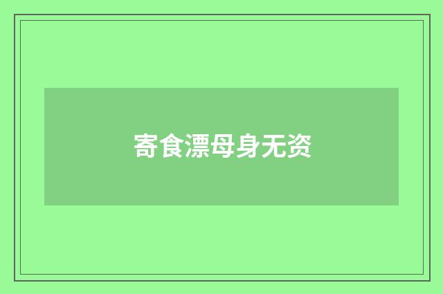 寄食漂母身无资