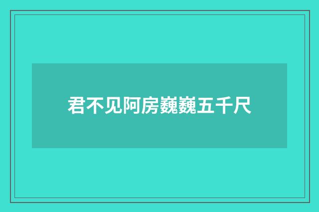 君不见阿房巍巍五千尺