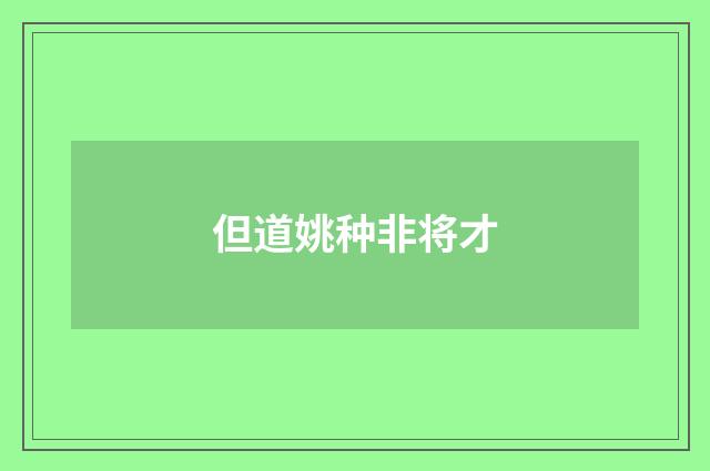 但道姚种非将才