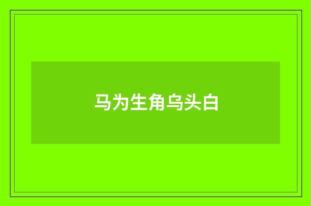 马为生角乌头白