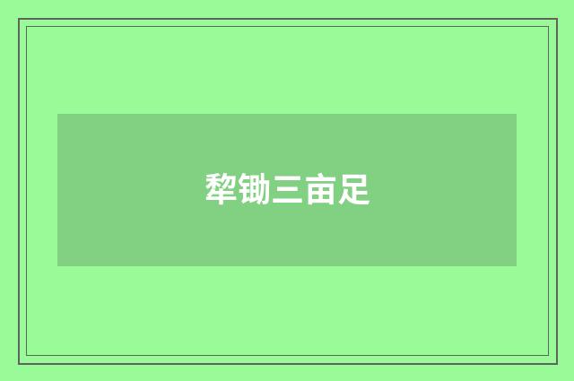 犂锄三亩足