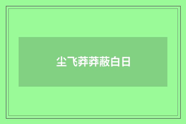 尘飞莽莽蔽白日
