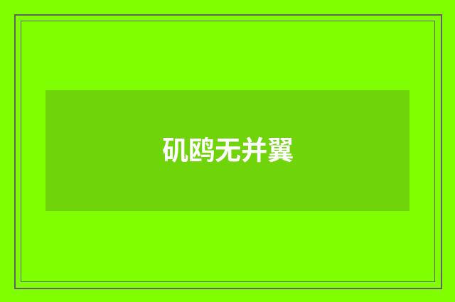 矶鸥无并翼