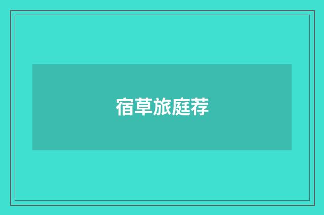 宿草旅庭荐