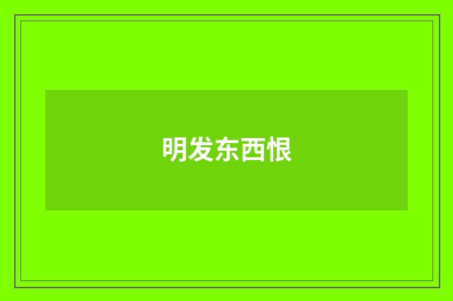 明发东西恨