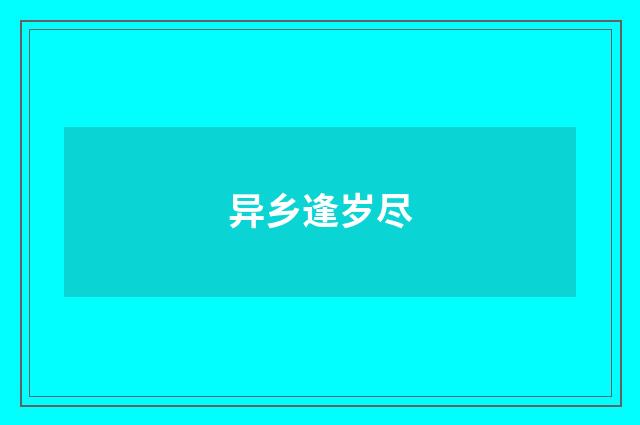 异乡逢岁尽