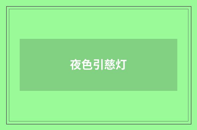 夜色引慈灯