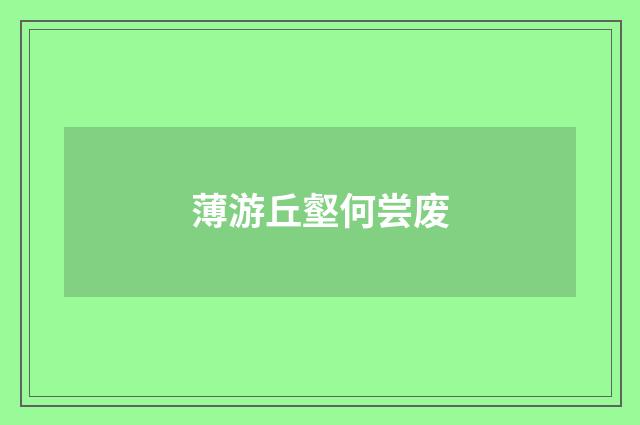 薄游丘壑何尝废
