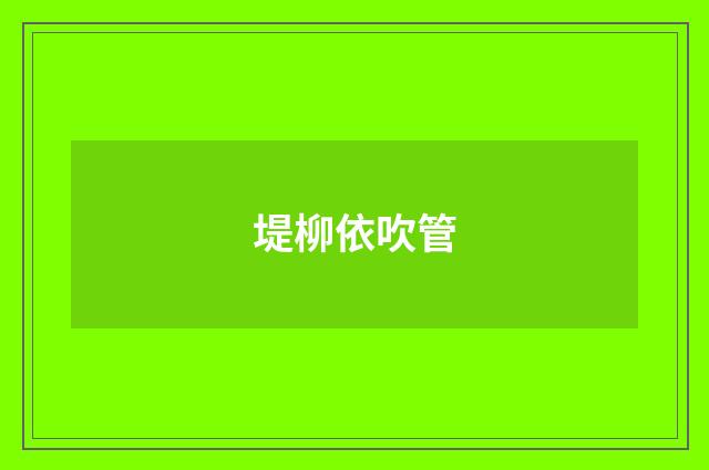 堤柳依吹管