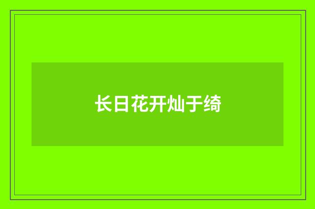 长日花开灿于绮
