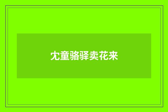 冘童骆驿卖花来