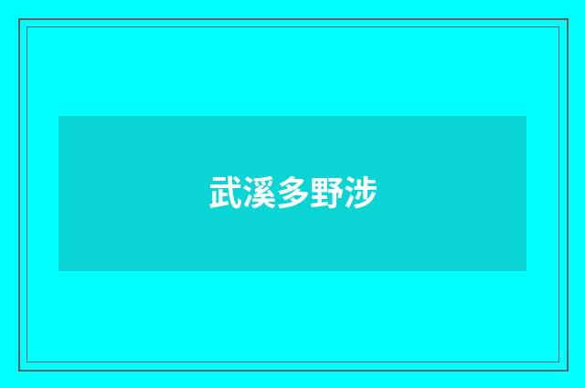 武溪多野涉