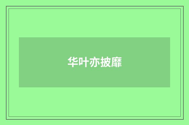 华叶亦披靡
