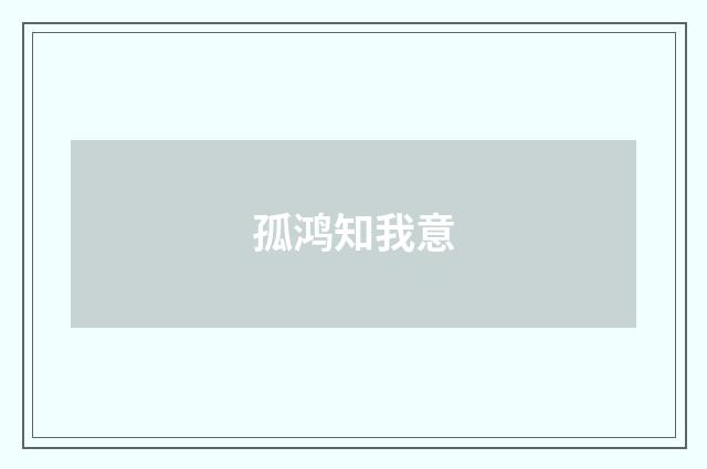 孤鸿知我意