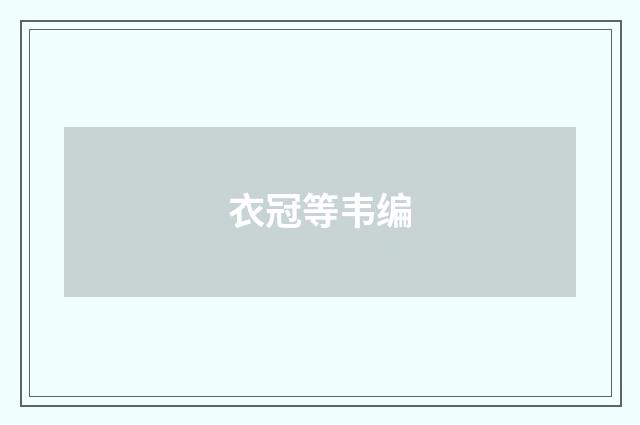 衣冠等韦编