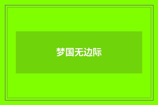 梦国无边际