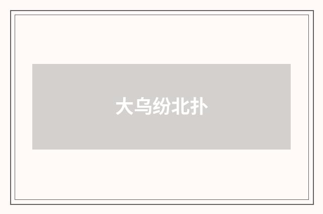 大乌纷北扑