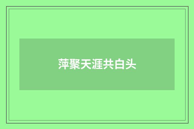 萍聚天涯共白头