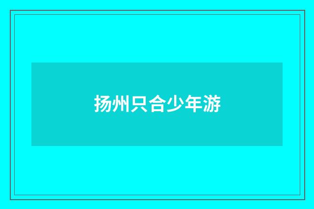 扬州只合少年游