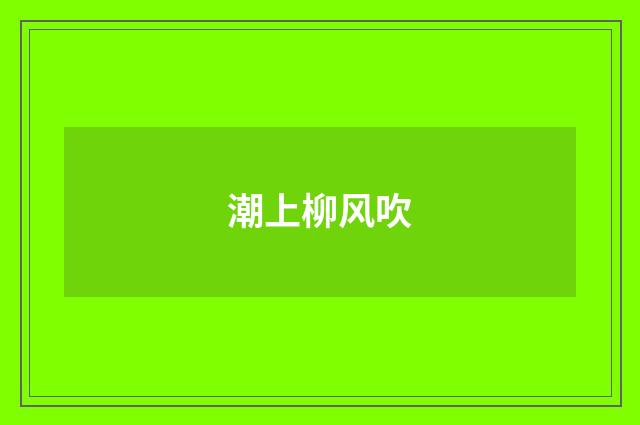 潮上柳风吹