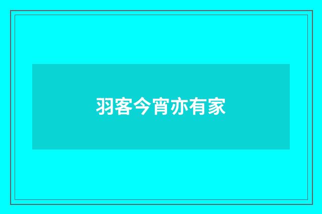 羽客今宵亦有家