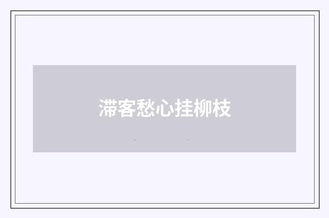 滞客愁心挂柳枝