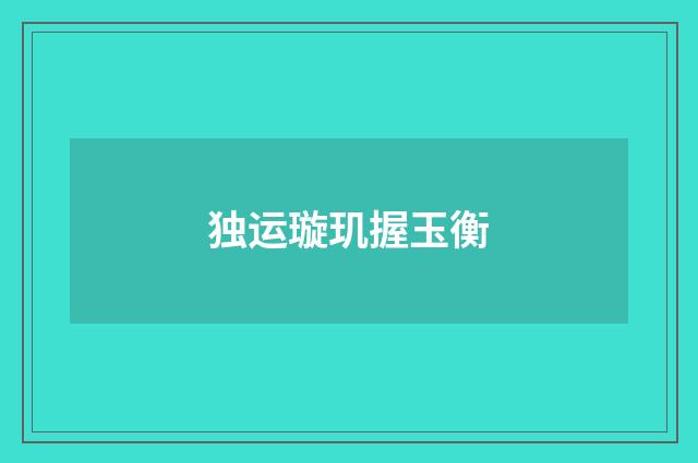 独运璇玑握玉衡